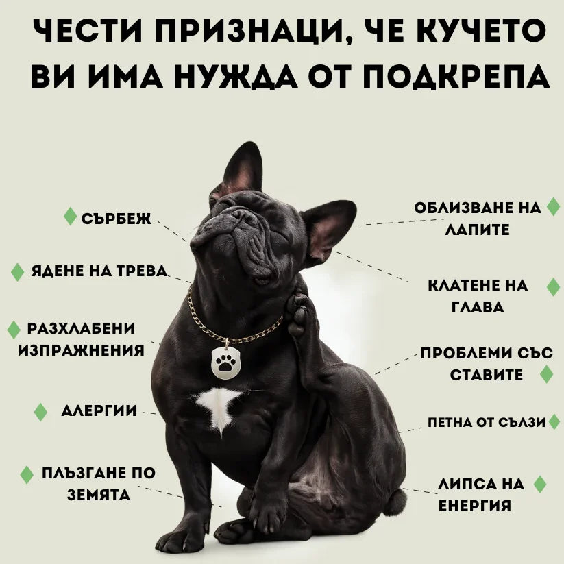 Добавка за стави, зачервяване и сърбеж за кучета под формата на лакомство