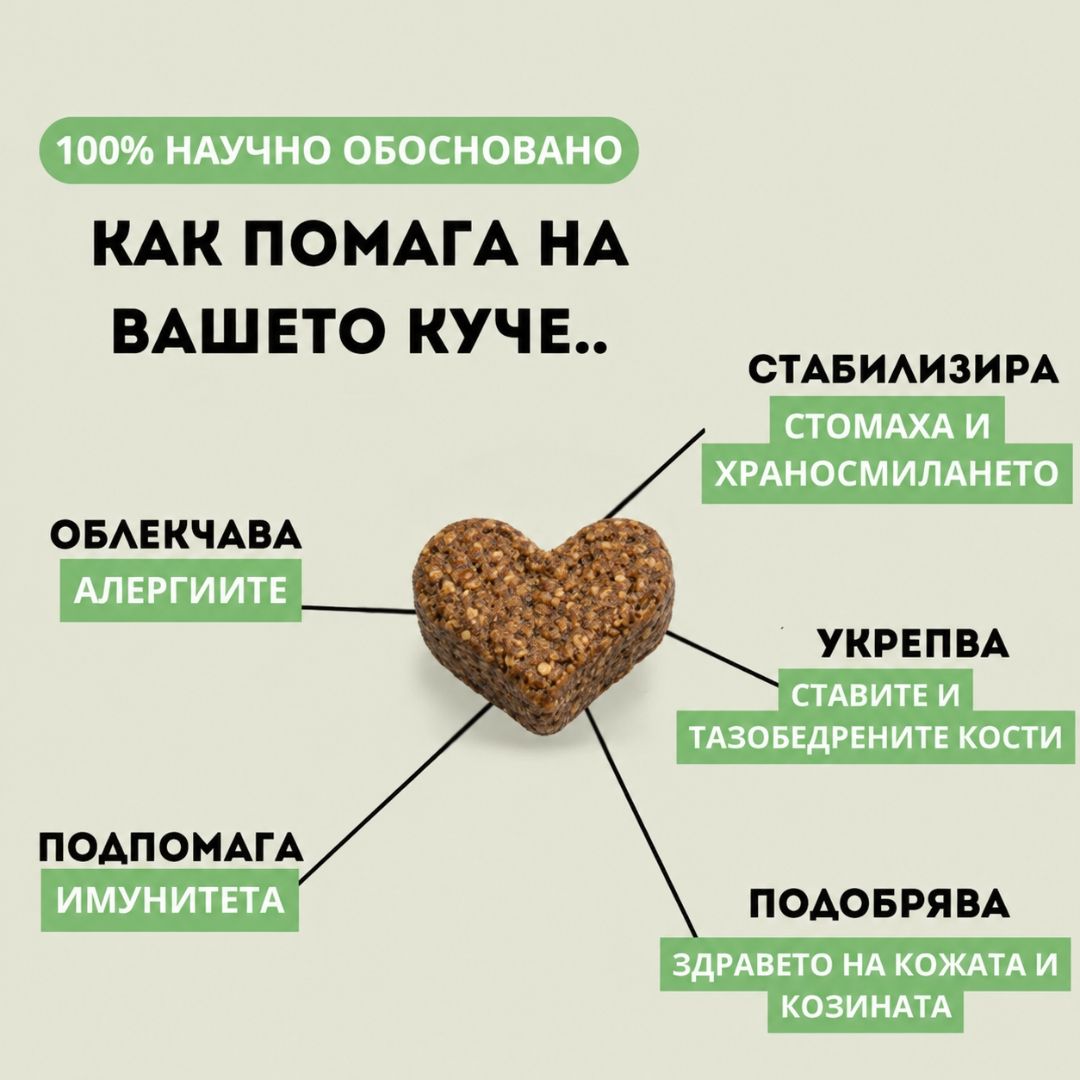 MultiPaws ALL IN ONE Дневен мултивитамин с пробиотик / 60 бр.