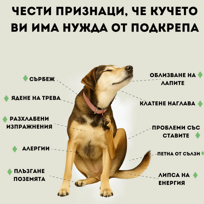 MultiPaws - ИмуноПробиотик за кучета / 60 бр.