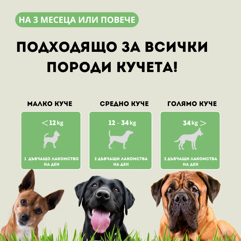 MultiPaws - ИмуноПробиотик за кучета / 60 бр.