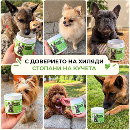 MultiPaws ALL IN ONE Дневен мултивитамин с пробиотик / 60 бр.